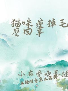 猫咪瘦掉毛是怎么回事