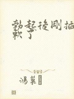 勃起后刚插入就软了