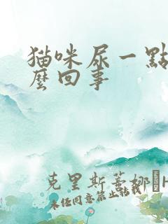 猫咪尿一点血怎么回事