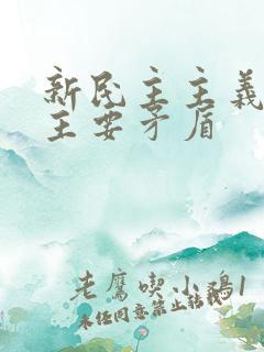 新民主主义社会主要矛盾