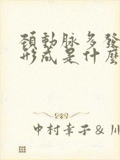 颈动脉多发斑块形成是什么意思