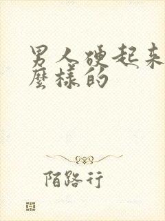 男人硬起来是怎么样的