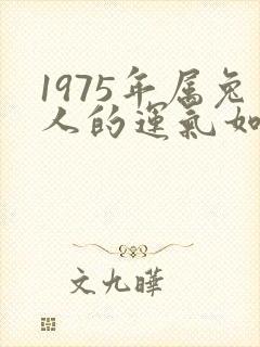 1975年属兔人的运气如何