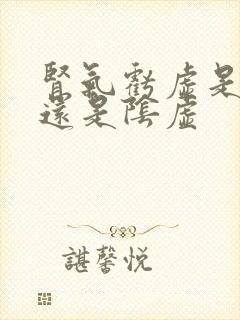 肾气亏虚是阳虚还是阴虚