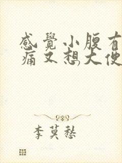 感觉小腹有点胀痛又想大便拉不出来