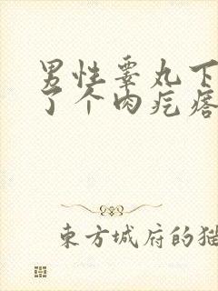 男性睾丸下面长了个肉疙瘩