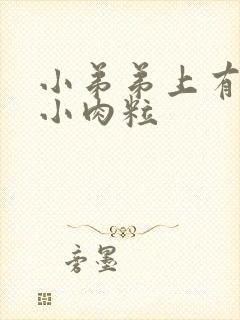 小弟弟上有几个小肉粒