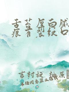 舌苔厚白腻有齿痕有裂纹口干舌燥