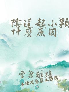 阴道起小颗粒是什么原因