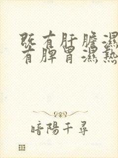 既有肝胆湿热又有脾胃湿热吃什么中成药