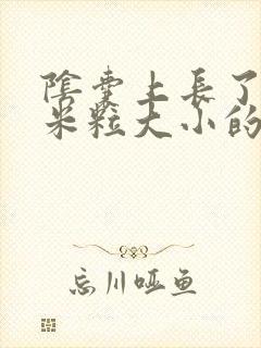 阴囊上长了好多米粒大小的疙瘩是怎么回事