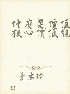 什么是价值观和核心价值观