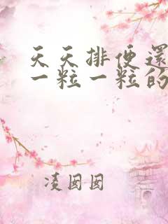 天天排便还便秘一粒一粒的怎么回事