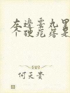 左边睾丸里面有个硬疙瘩是怎么回事