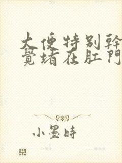 大便特别干燥感觉堵在肛门口拉不出来