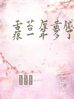 舌苔厚黄腻有齿痕一年多了