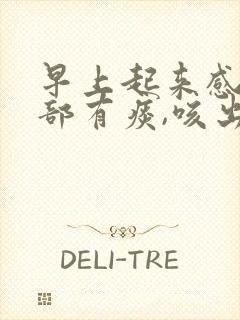 早上起来感觉肺部有痰,咳出来的痰