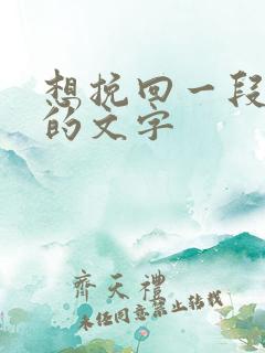 想挽回一段感情的文字