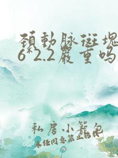 颈动脉斑块6.6*2.2严重吗