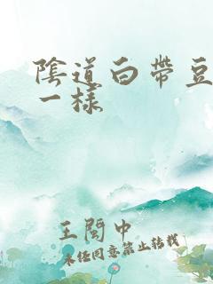 阴道白带豆腐渣一样