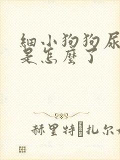 细小狗狗尿很黄是怎么了