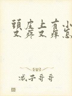 头皮上有小疙瘩又疼又痒怎么回事