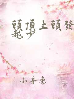 头顶上头发越来越少