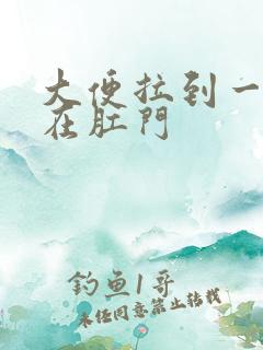 大便拉到一半堵在肛门