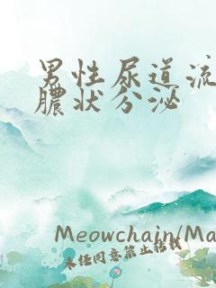 男性尿道流出黄脓状分泌