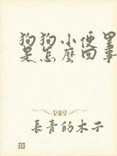 狗狗小便里有血是怎么回事