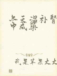 冬天温补肾阳的中成药