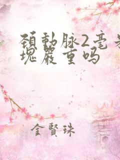 颈动脉2毫米斑块严重吗