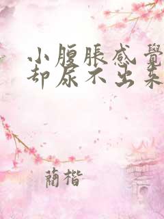 小腹胀感觉有尿却尿不出来