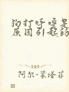 狗打呼噜是什么原因引起的