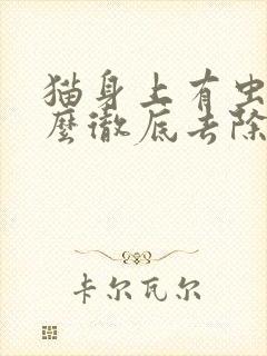 猫身上有虫子怎么彻底去除