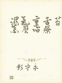 湿气重舌苔发白怎么治疗