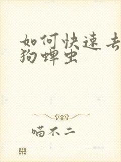 如何快速去除狗狗蜱虫