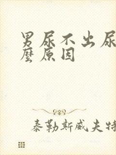 男尿不出尿是什么原因