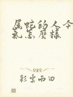 属蛇的人今年运气怎么样