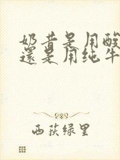 奶昔是用酸奶做还是用纯牛奶做