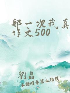 那一次我真感动作文500