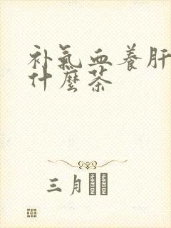 补气血养肝肾喝什么茶