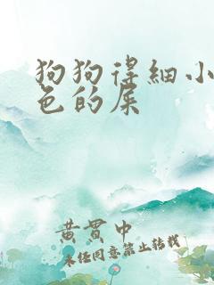 狗狗得细小拉白色的屎