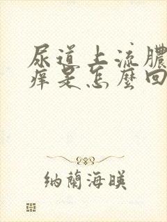 尿道上流脓有点痒是怎么回事