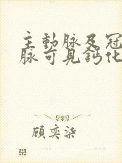 主动脉及冠状动脉可见钙化性斑块