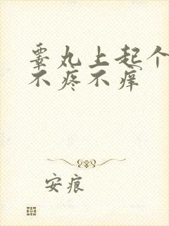 睾丸上起个疙瘩不疼不痒