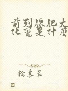 前列腺肥大并钙化灶是什么意思啊