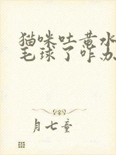 猫咪吐黄水里带毛球了咋办