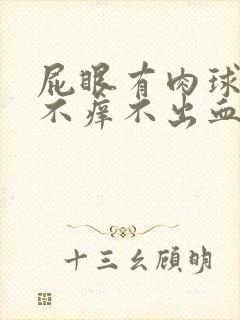 屁眼有肉球不疼不痒不出血