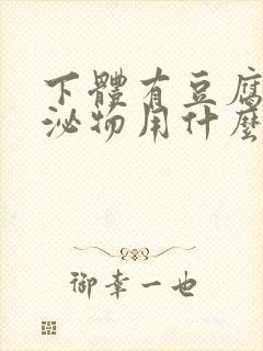 下体有豆腐渣分泌物用什么药